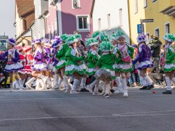 Faschingszug Pressath 2025_77